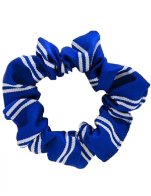 Royal & White Scrunchie 1pk
